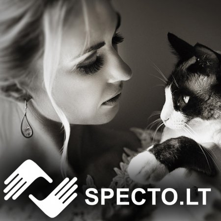 Išsaugokite savo istoriją. Specto.lt
