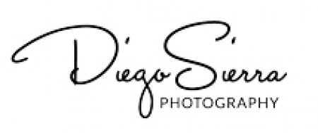 Profesionalus vestuvių fotografas