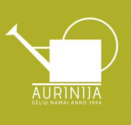 Vestuvinė floristika