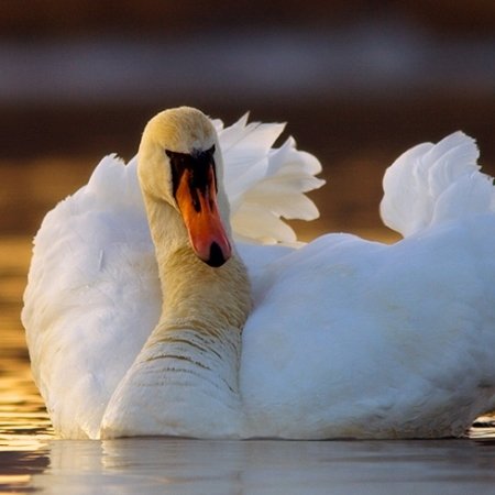 Fotografas. Fotografo Paslauga. Fotostudija. Foto filmų  kurimas.