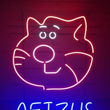 Sale renginiui AFIZUS