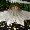 Elegantiškas šampano staliukas po ceremonijos