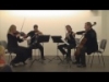 Robert Schumann - String quartet A-dur, op.41 Nr.3 (perf.: string quartet Art Vio)